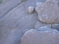 A fallen man petroglyph